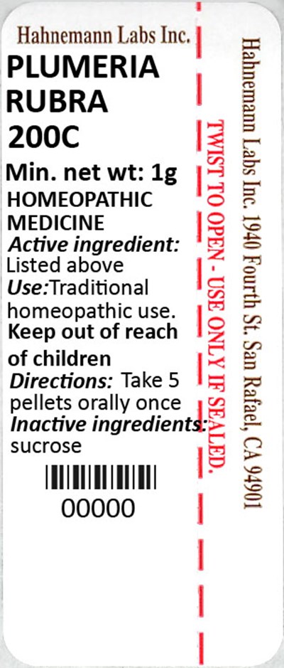 Plumeria Rubra 200C 1g - Plumeria Rubra 200C 1g